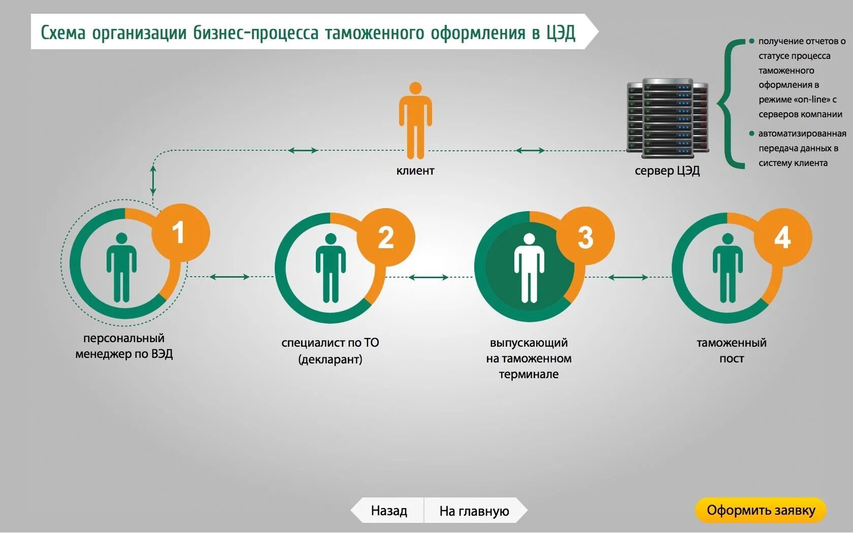 Ввоз транзит. Таможенный процесс схема. Схема таможенного оформления. Процесс таможенного оформления. Порядок таможенного оформления.