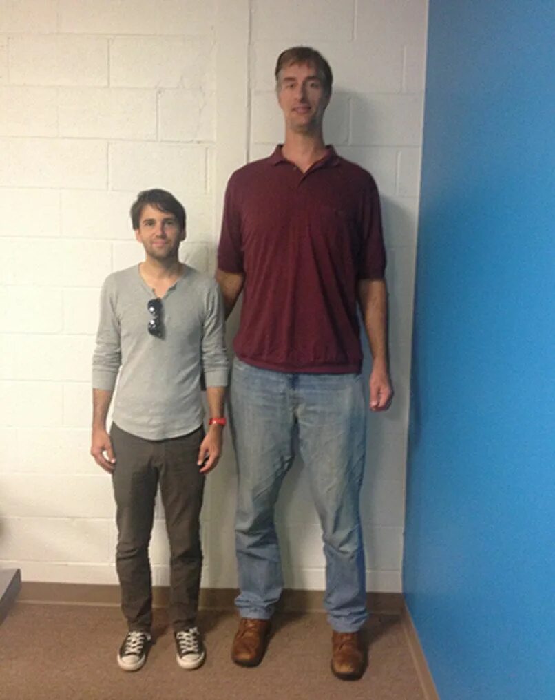 Mike is tall