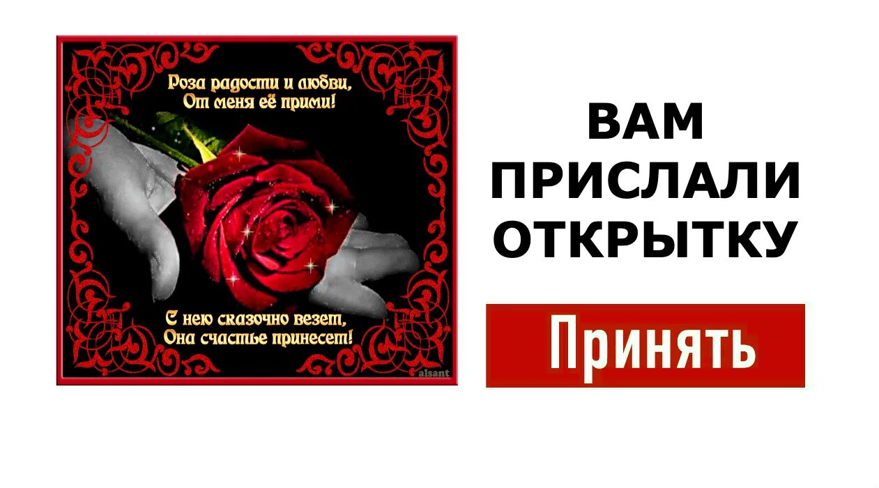 Я подарю тебе розу ра ра розу. Песни про розы. Ты кричишь к черту эти розы песня. Песня нервы нервы текст. Красные розы песня.