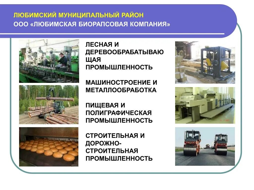 Строительно дорожное машиностроение. Деревообрабатывающая промышленность и Машиностроение срквнитье. ОАО Любимский лесокомбинат. Отрасль машиностроения по производству строительно-дорожной техники. Промышленность Свердловской области картинки.