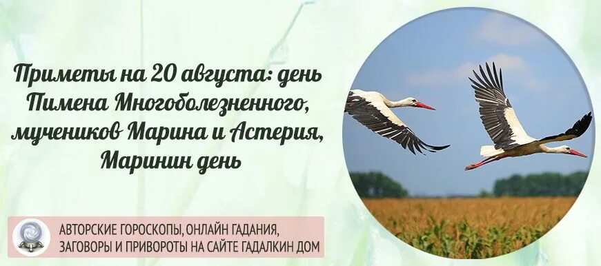Приметы августа. Приметы на 20 августа 2024. Приметы на 20 августа 2024. Народные приметы 20 августа. Приметы на 20 августа 2024.