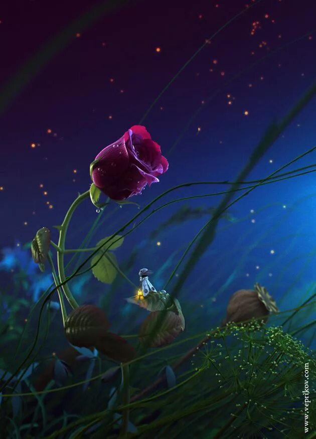 Доброй ночи природа пожелание. Сказочные цветы. Спокойной ночи цветы. Яркие цветы ночью. Чудесные цветы.