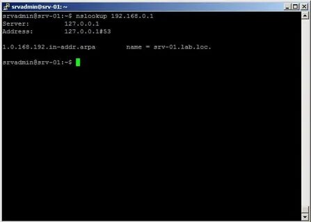 Nslookup linux
