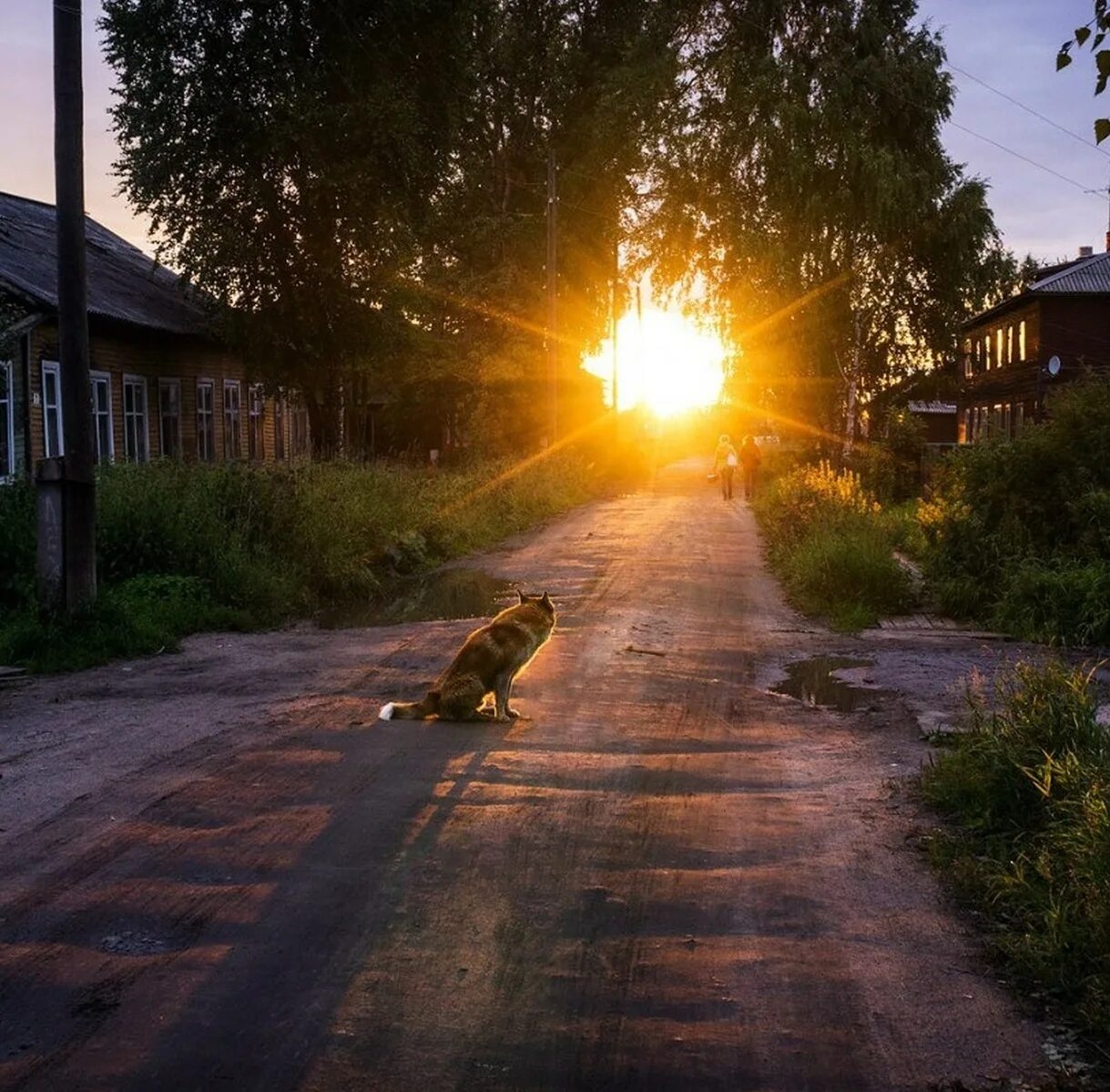 Потому что на улице солнце. Утро в деревне. Лето в деревне. Солнце в деревне. Рассвет в деревне.