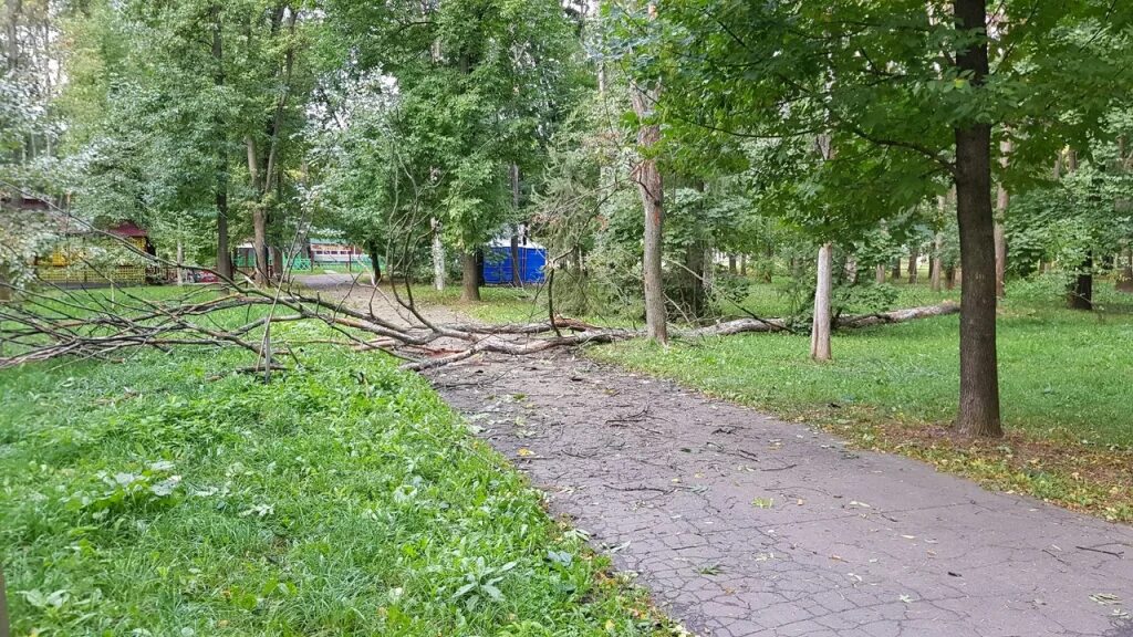 Парк дубки нижний новгород детская площадка. Нижние дубки. Урочище дубки струнино. Дубки тульская область. Парк дубки нижний новгород.