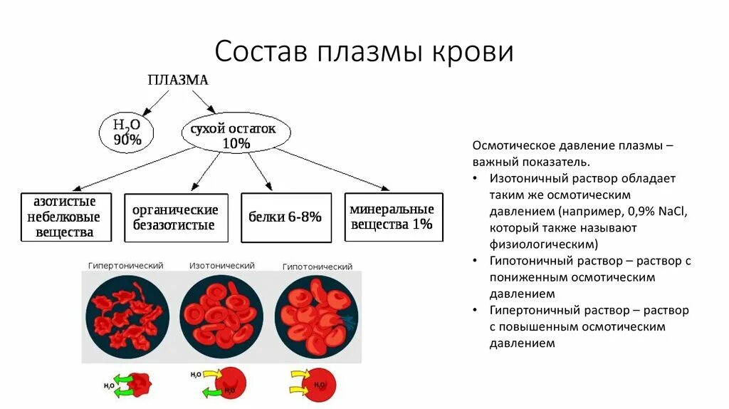 Состав плазмы входит. Состав плазмы крови таблица. Состав плазмы крови физиология. Состав плазмы крови физиология. Состав плазмы крови.