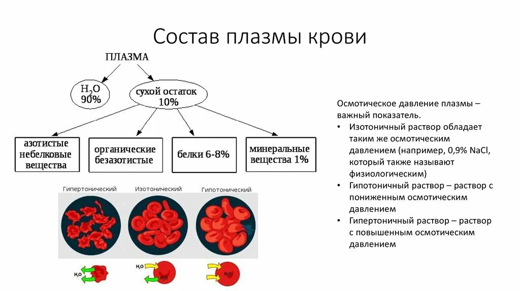 Форма плазмы крови