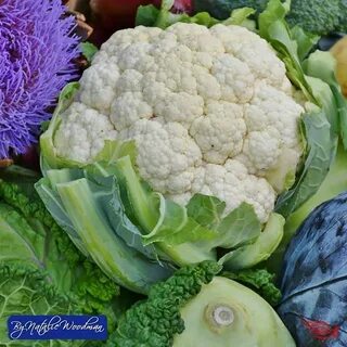 8 сортов капусты