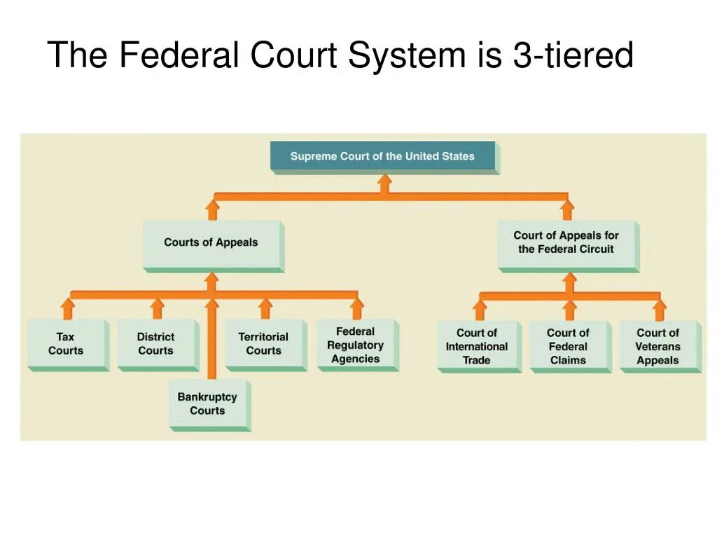 Federal Court System. Judicial System in Russia схема. Political System of Russia схема. Политическая система США на английском. State role