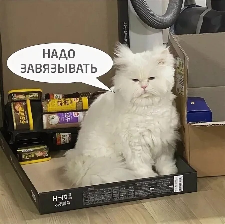 Понедельник после праздника. На работу после праздников картинки. Понедельник после выходных. Понедельник. Понедельник демотиваторы.