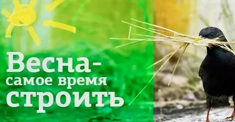 Пора строй