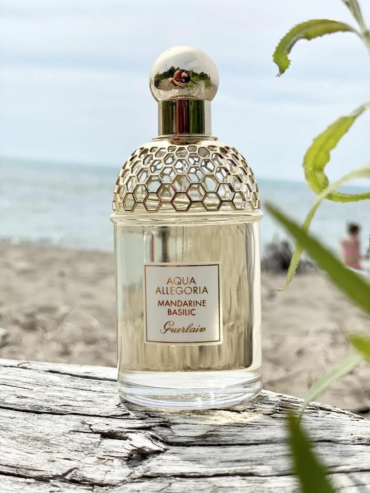 Guerlain Aqua Allegoria Mandarine basilic. Guerlain Aqua Allegoria Mandarine. Духи Guerlain Aqua Allegoria Mandarine-basilic. Guerlain Aqua Allegoria Mandarine basilic 75ml. Guerlain aqua allegoria forte mandarine