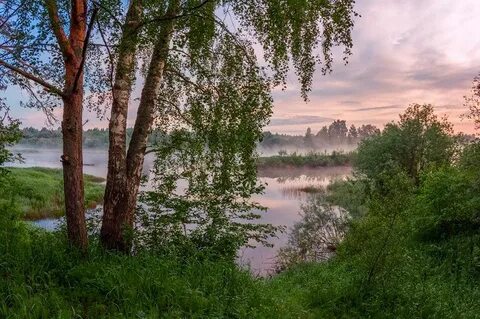 Вологодская область тишина