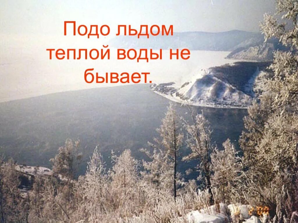Сколько градусов подо льдом. Подо льдом теплой воды не бывает картинка. рисунок подо льдом теплой воды не бывает. температура воды подо льдом. какая температура воды подо льдом зимой.