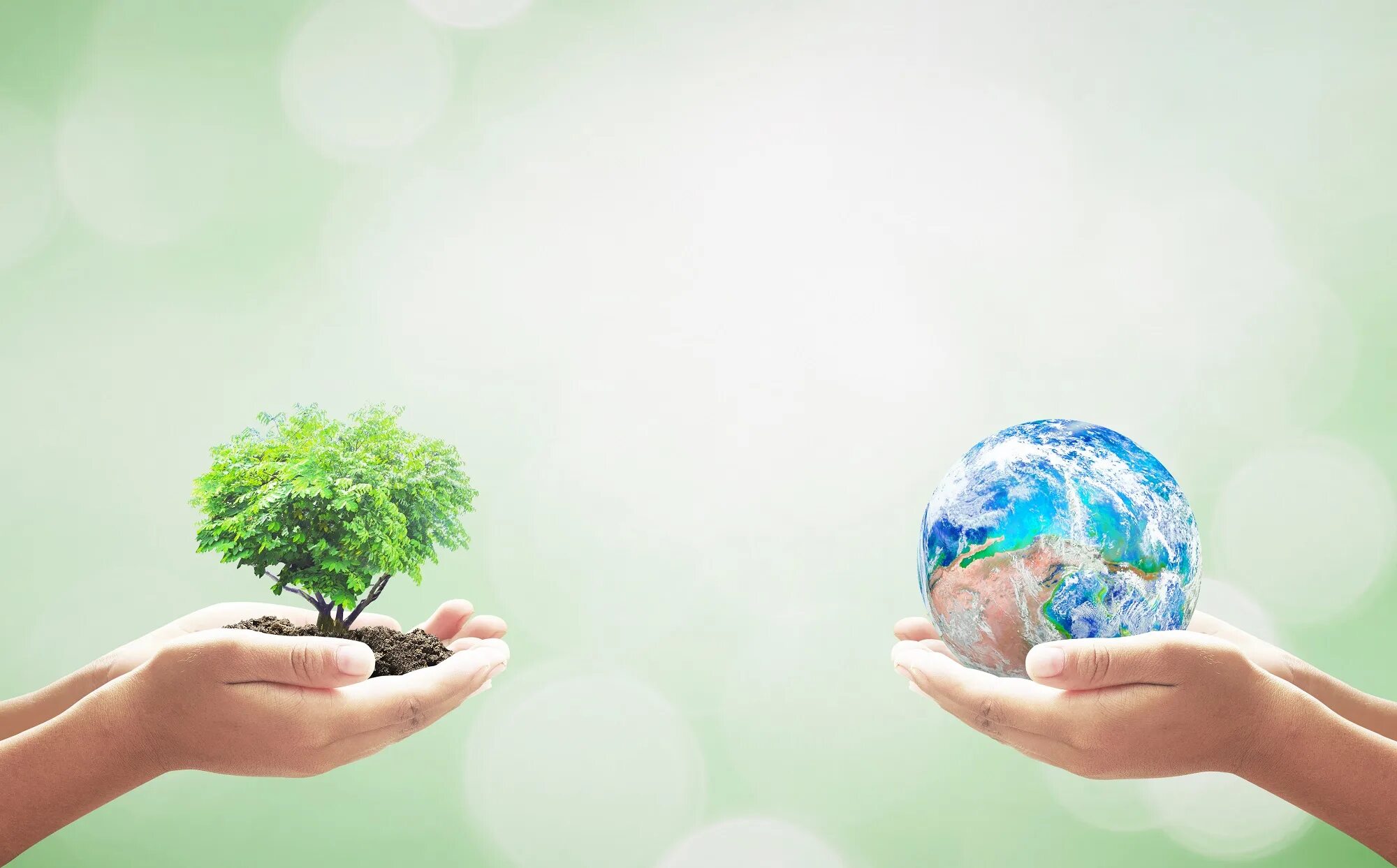 Healthy environment