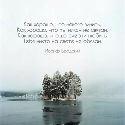 Меня никто не любит. Статус,я никого не ищу. Цитаты адольфа гитлера про любовь. Хорошо никого не любить. Хорошо никого не любить.