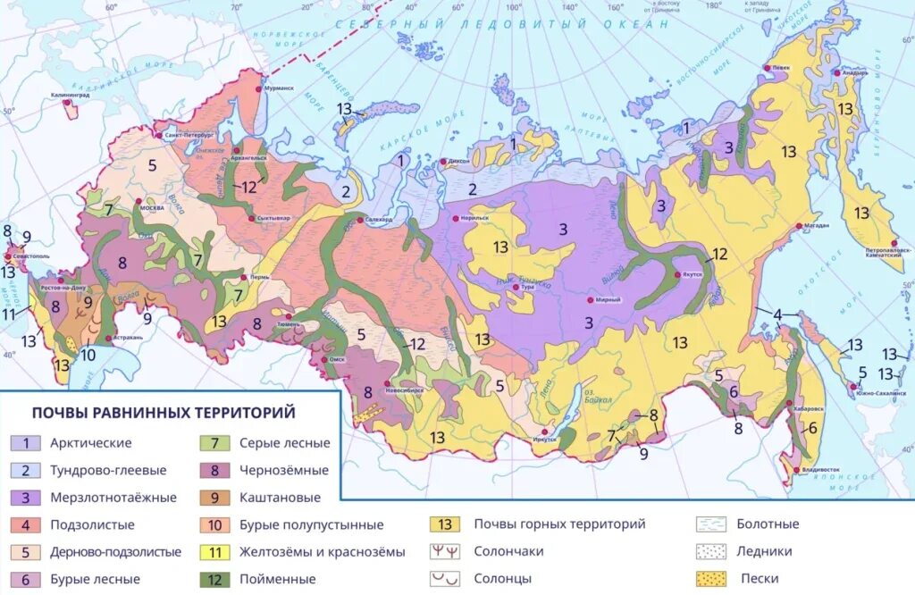 Тундрово глеевые какая природная зона