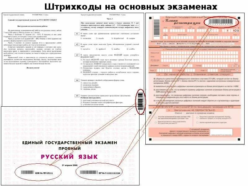 Образцы бланков егэ 2024. Русский язык ЕГЭ заполнение Бланка. Правила заполнения Бланка ЕГЭ. Скан заполненного Бланка ЕГЭ по русскому. Правила заполнения бланков ЕГЭ по русскому языку.