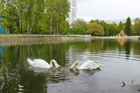 Вода троицк москва
