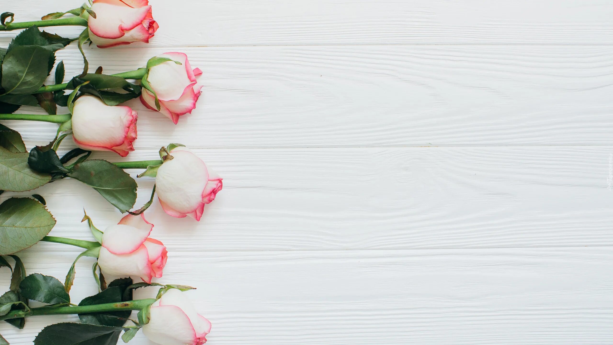 поздравления на башкирском языке. поздравления на башкирском языке. тыуған көнөң менән котлаузар текст. открытки с днём рождения на башкирском языке. тыуған көнөң менән котлаузар текст.