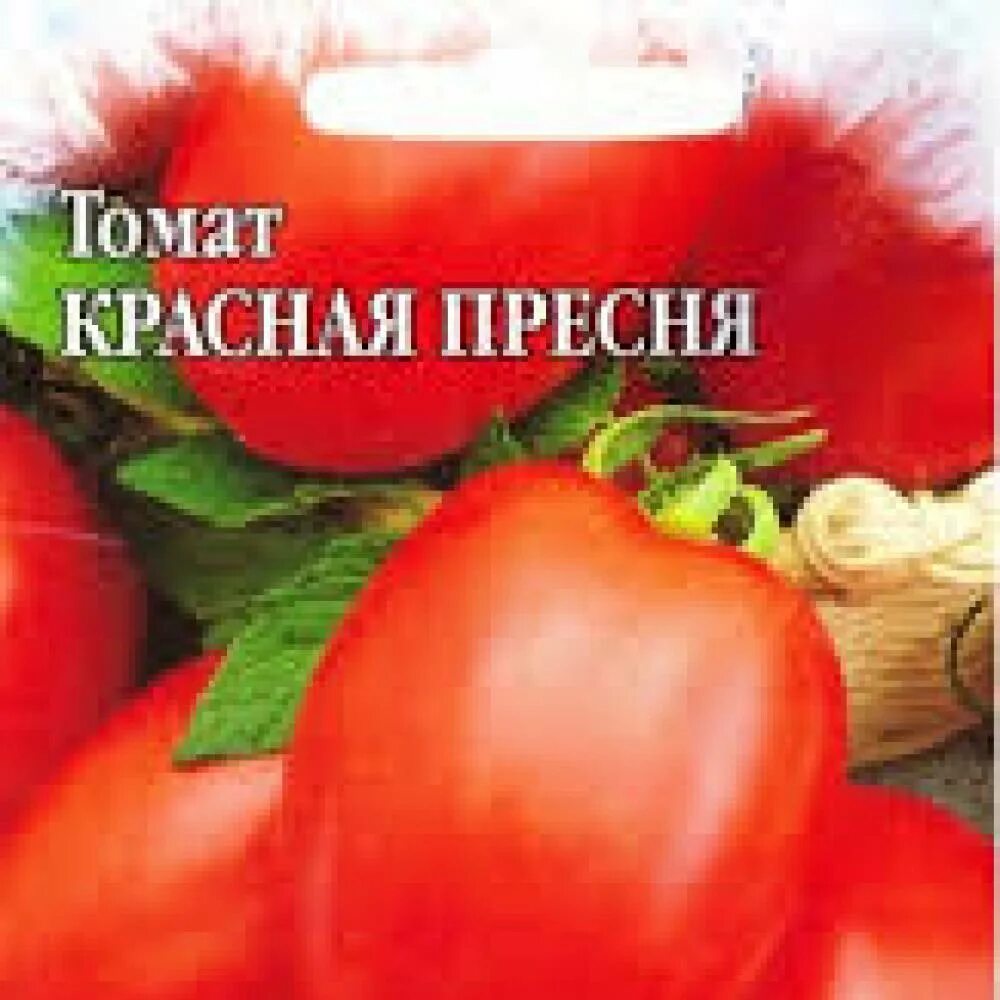 Томаты красная гвардия описание сорта. Томат красная пресня. сорт томата красная армия. томат покрасневшая невеста.
