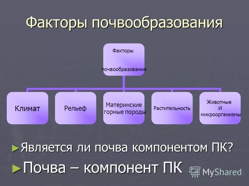 Первый основной фактор. Почвообразующие факторы 8 класс таблица. Факторы почвообразования. Факторы формирования почвы. Факторы почв обращования.