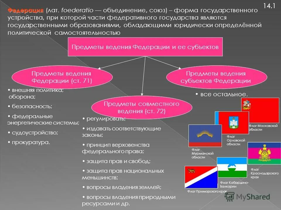 Предметы ведения россии;. Формы международной таможенной интеграции. Федерация это. Союз форм. Таможенный союз как форма экономической интеграции.