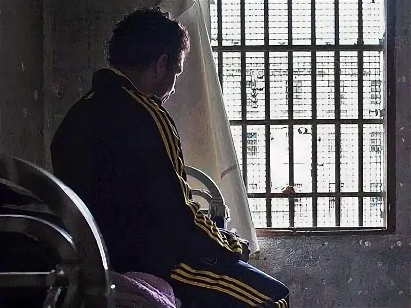 Секретные поручения-2 книга. Тайная пора. Красота души. Тайная пора. Аркадия ночка академия альфачей, или всем лечь на лопатки!.