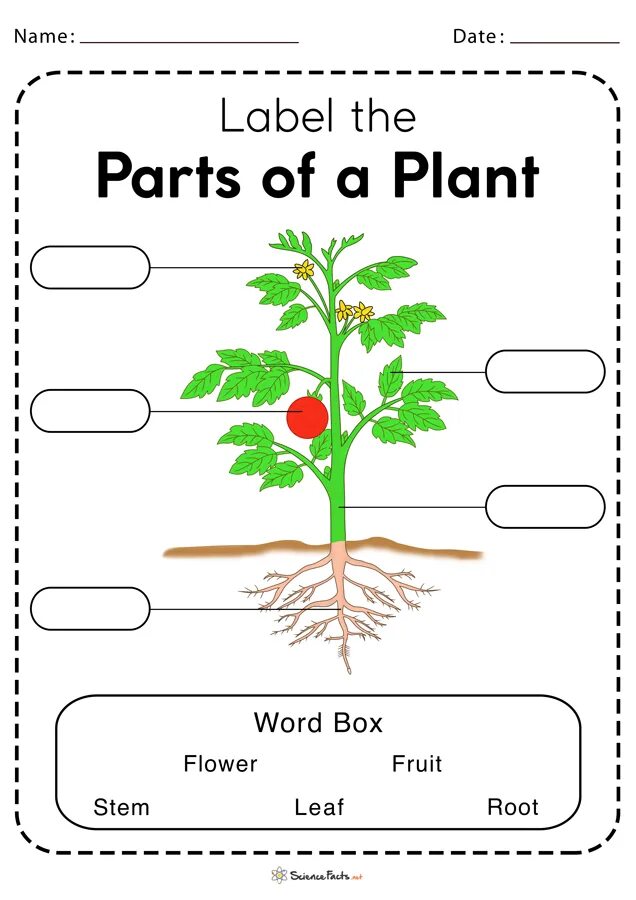Tasks tree