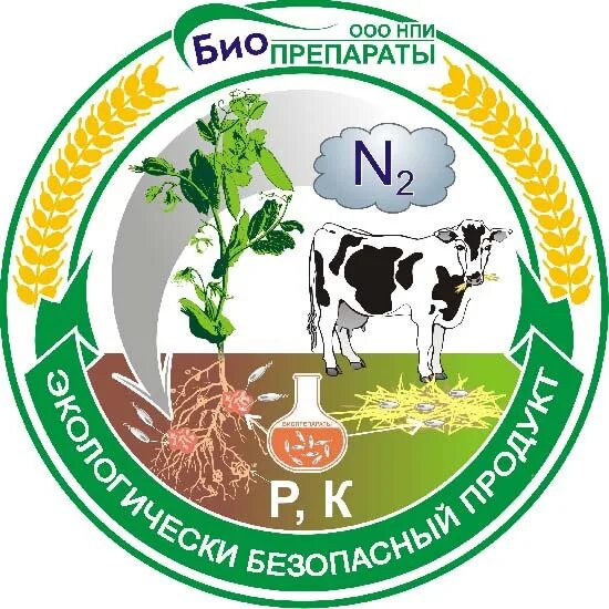 Ооо комбинированный. НПИ биопрепараты\. Биопрепараты логотип. Биопрепарат logo. ООО биопрепараты.