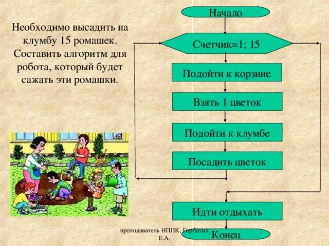 Посадка дерева алгоритм. Алгоритм посадки растений. алгоритм полей цветок.