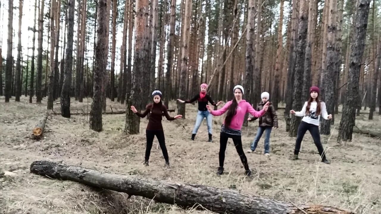 Танцы в лесу песня. Разминка в лесу. тренировка в лесу. танцы в лесу. групповые танцы в лесу.