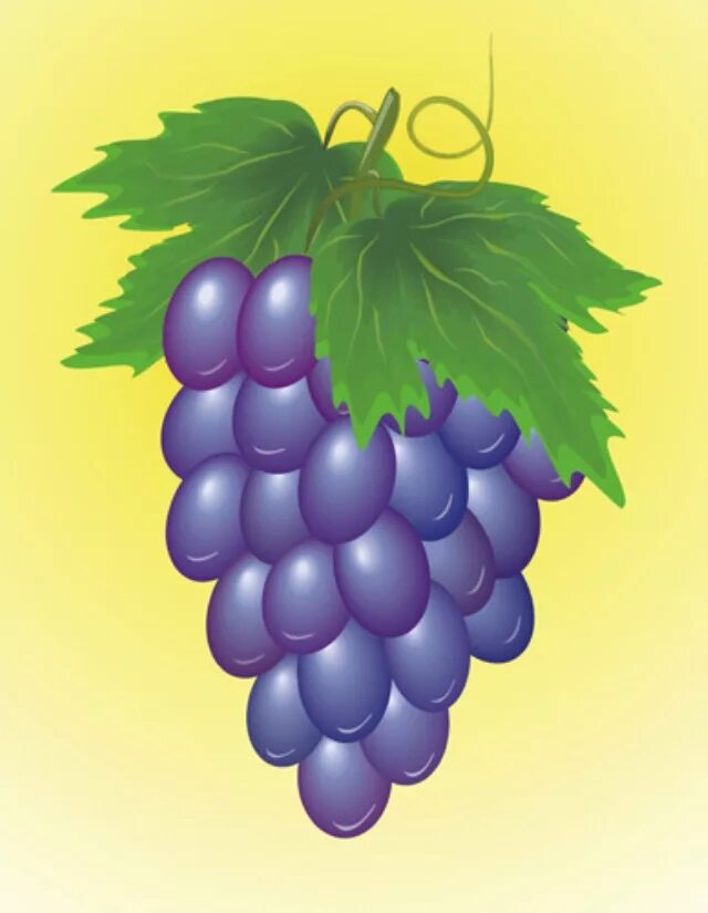 Луниум ру. Виноград для детей. Детский сад виноград. Гроздь винограда. Виноград рисунок.