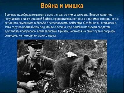 Какие животные помогали
