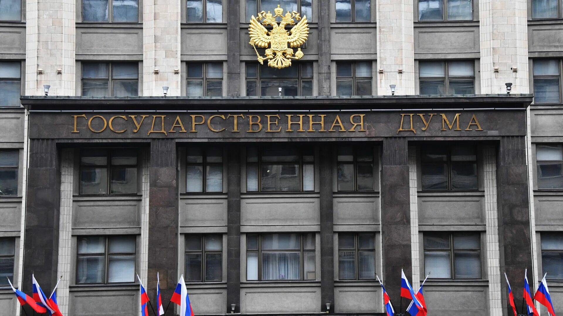 В гд внесли проект