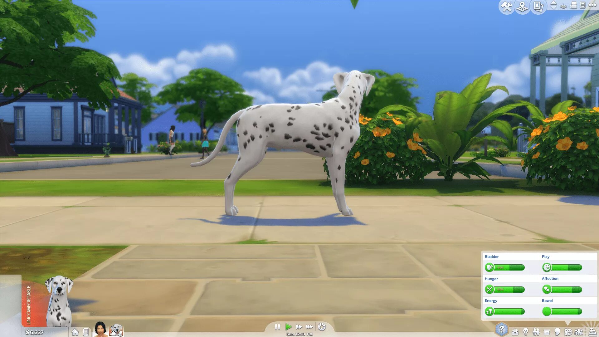 Wicked pets. SIMS 4 Pets. Моды для симс 4 питомцы. SIMS 4 Mod Pets. Экзотические питомцы в симс 4 мод.