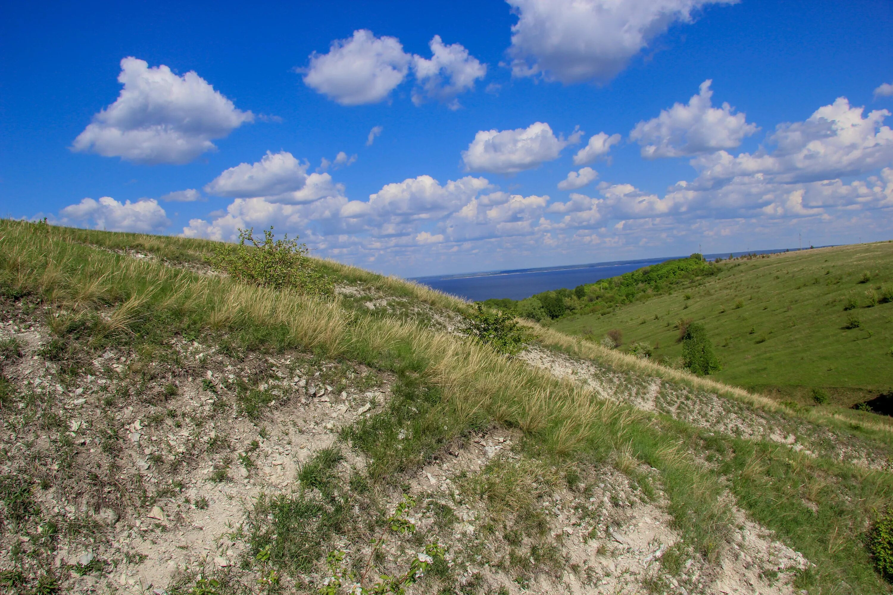 Село сенгилеевское погода. Село Тушна Сенгилеевские горы. Шиловская лесостепь Сенгилеевский район. Сенгилеевские горы Ульяновская область. Тушна Сенгилеевский район Ульяновская область.