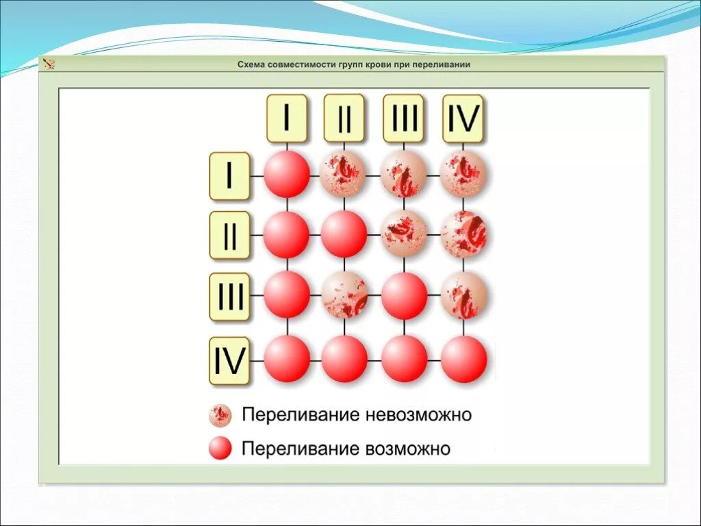 Схема переливания групп крови. Группы крови вливание схема. Схема совместимости групп крови. Схема совместимости групп крови при переливании. Схема совместимости крови