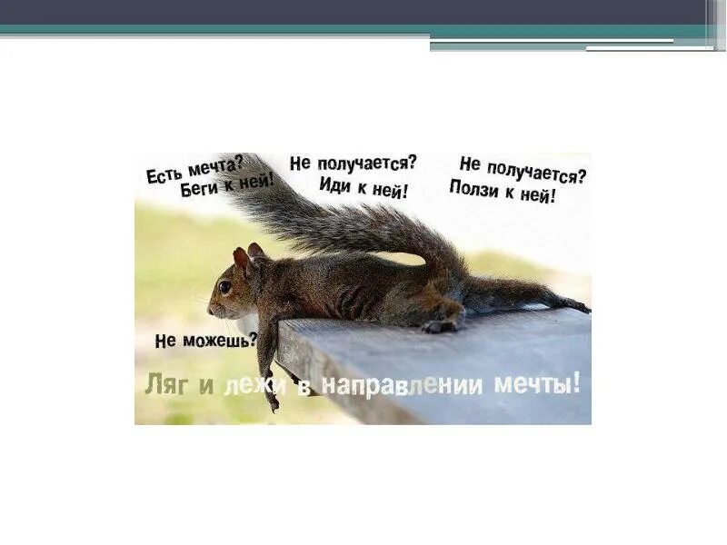 Ляг и лежи в направлении. Лежи в направлении мечты. лежи в направлении цели. ляг в направлении цели. ляг и лежи в направлении цели.