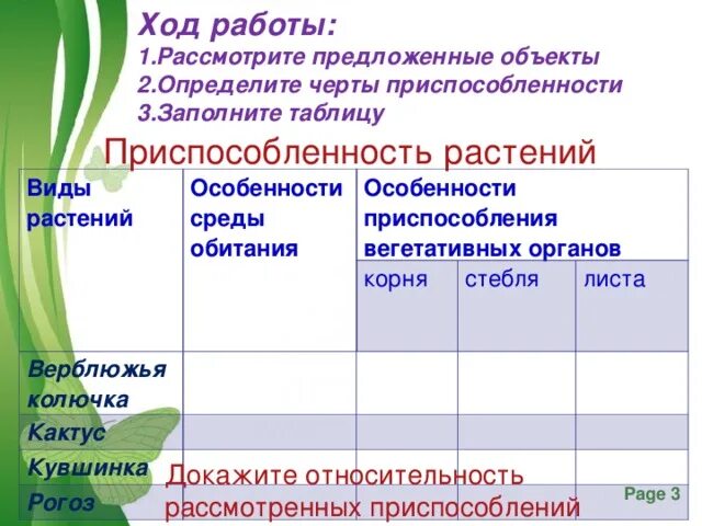 Изучение приспособленности организмов к среде. Приспособление организмов к среде обитания. Изучение приспособленности организмов к определённой среде обитания. Лабораторная работа изучение приспособленности. Приспособленность организмов к месту обитания