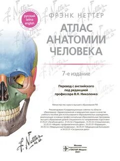 Атлас неттер 7 издание