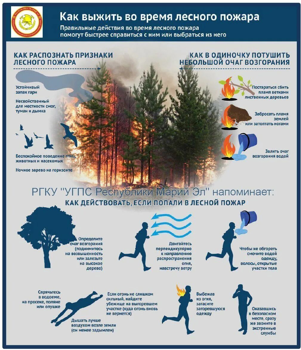 Как выйти из лесного пожара. Действия пр леснмпожаре. Действия при Лесном пожаре. Лесные пожары инфографика. Инфографика на тему Лесные пожары.