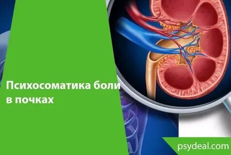 Камни в почках психосоматика