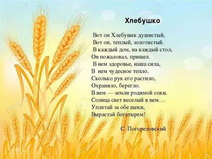 Поле пшеницы стих