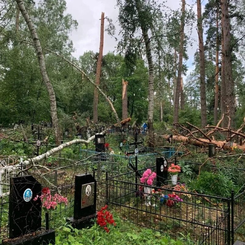 кладбище эстетика. прямая дорога на кладбище. кладбище солнце. иду мимо кладбища молча курю. пилигримы стихотворение.