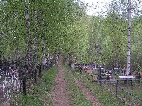 Проспект просвещения северное кладбище. Северное кладбище пермь. Место шуваловский метро. Проспект просвещения северное кладбище. Северное кладбище санкт-петербург.