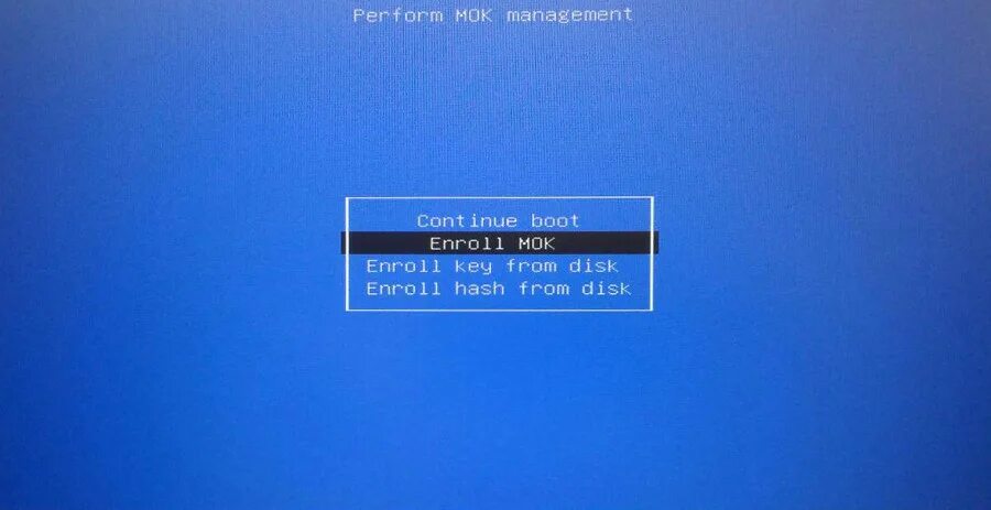 Mok management. Синий экран на компьютере. perform mok management. sudo mokutil --disable-validation. enroll mok что значит.
