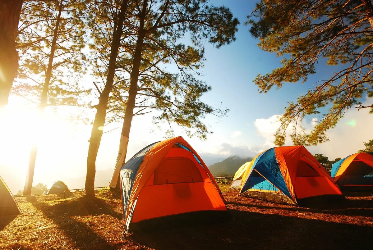 В 3 палатках жили. Глэмпинг Forest Camping. Палатка Camping Tent. Форест кемпинг Приморский край. Поход с палатками.