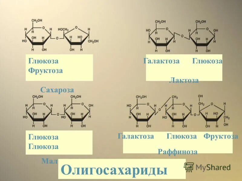 Глюкоза мальтоза галактоза. Глюкоза фруктоза сахароза. Олигосахариды это Глюкоза и фруктоза. Фруктоза и галактоза. Фруктоза лучше глюкозы