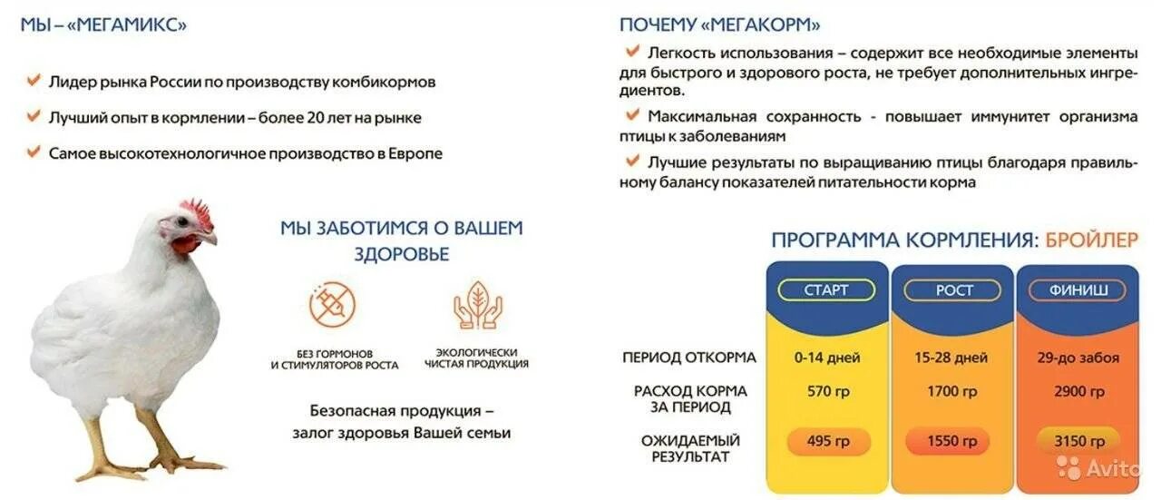 Рацион кормления бройлеров. Кормление бройлеров комбикормом таблица. таблица кормления бройлеров мегакормом. схема кормления бройлеров комбикормами. корма рост для цыплят бройлеров.